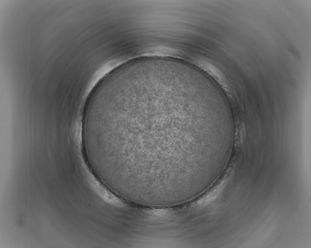 X0000111601130200907231230