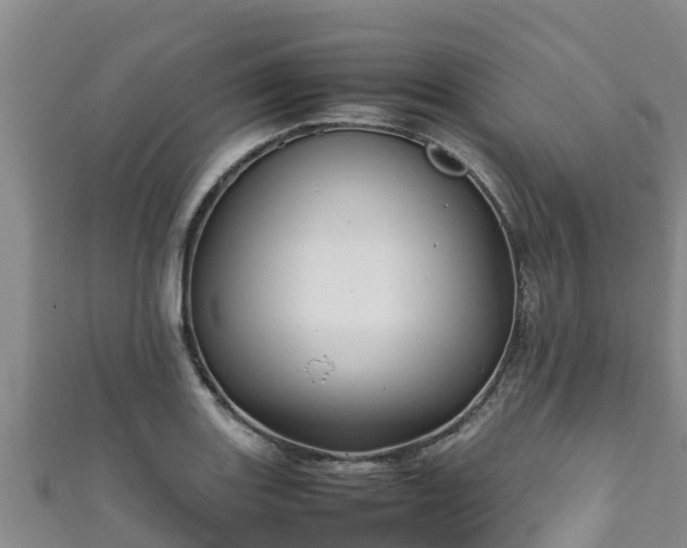 X0000111601131200907231230