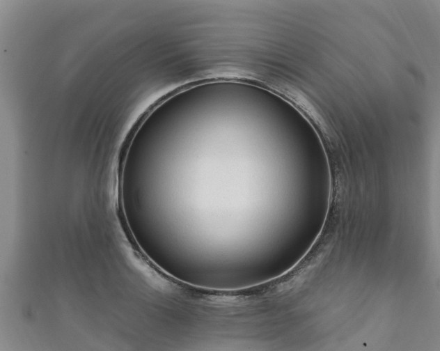 X0000111601132200907231230