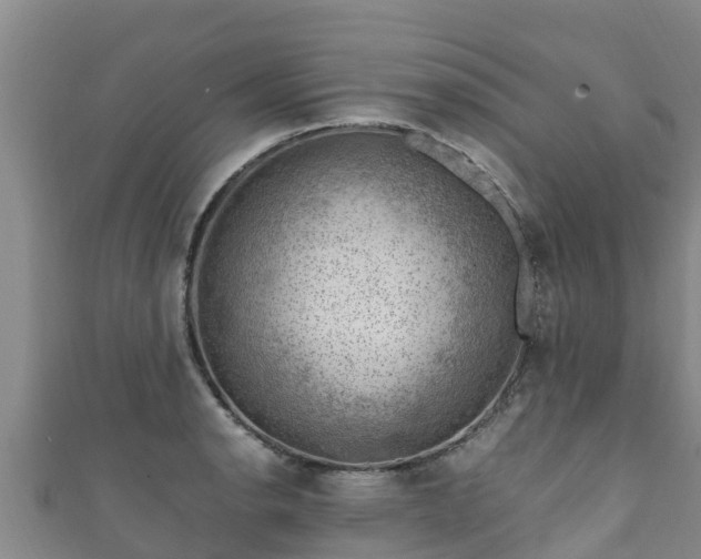 X0000111601134200907231230