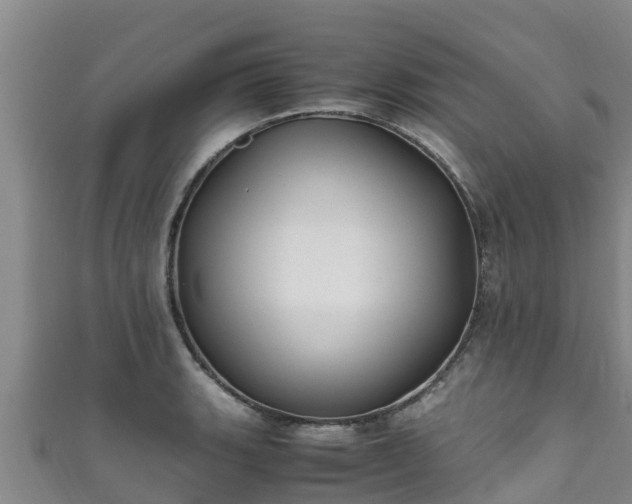 X0000111601135200907231230