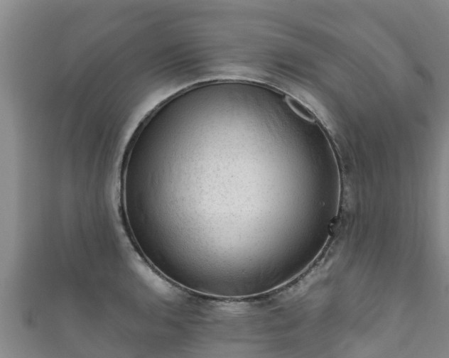 X0000111601136200907231230