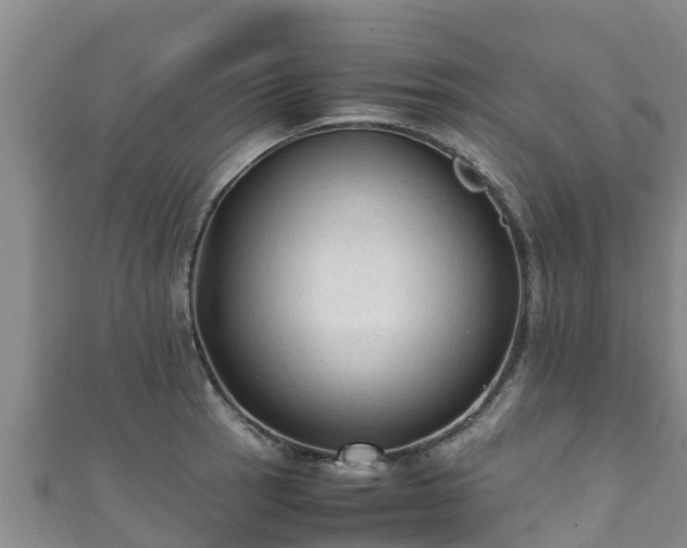 X0000111601137200907231230