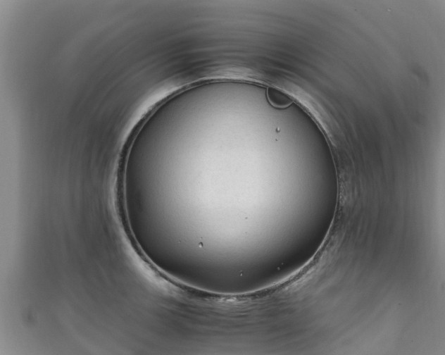X0000111601139200907231230