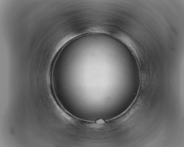 X0000111601141200907231230