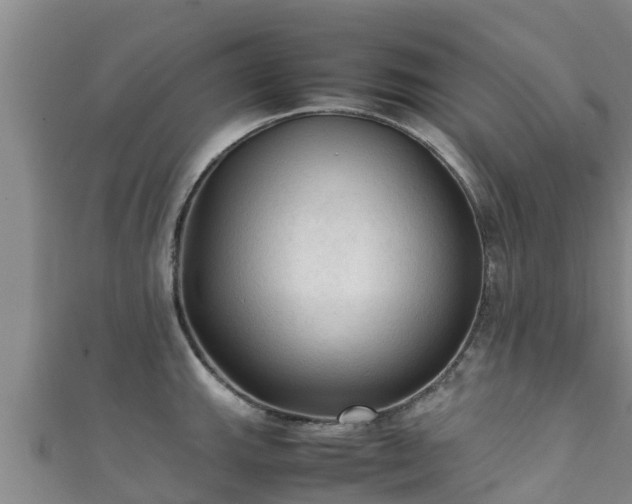 X0000111601143200907231230