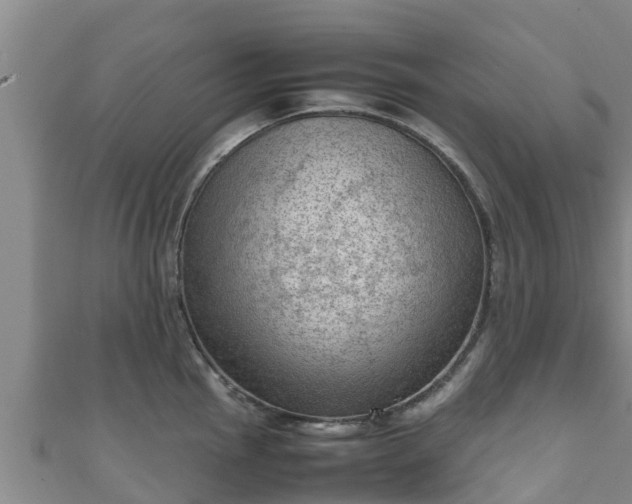 X0000111601145200907231230