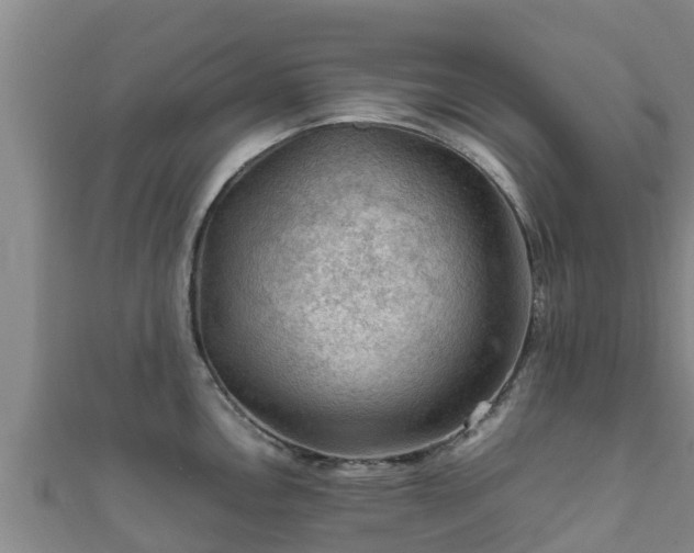 X0000111601146200907231230