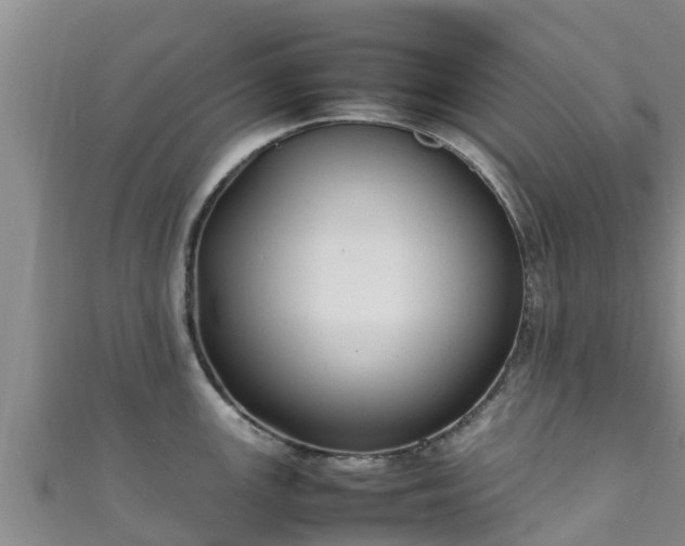 X0000111601147200907231230