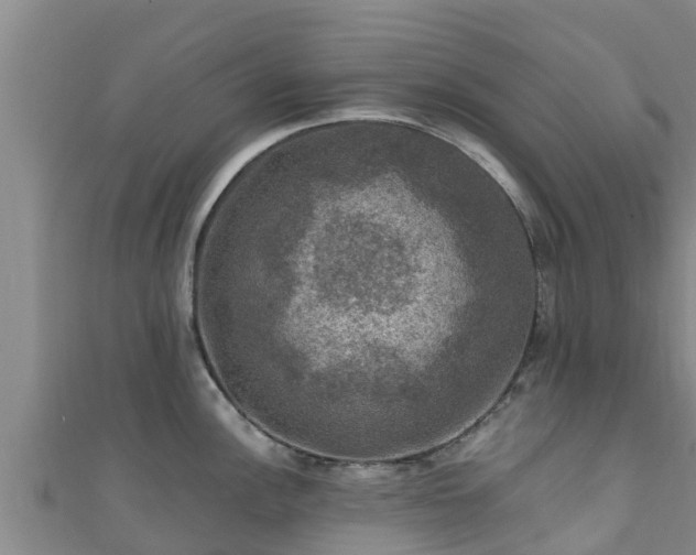 X0000111601148200907231230
