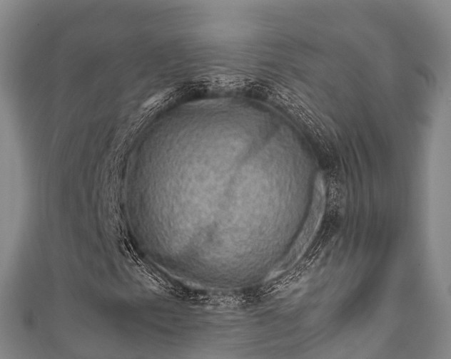 X0000111601153200907231230