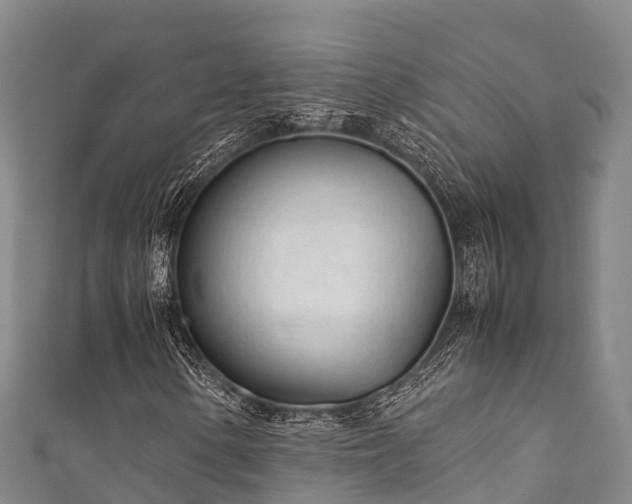 X0000111601154200907231230