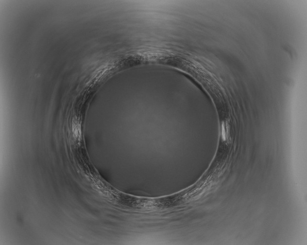 X0000111601155200907231230