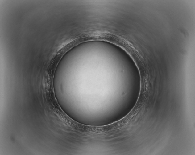 X0000111601158200907231230