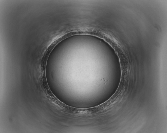 X0000111601160200907231230