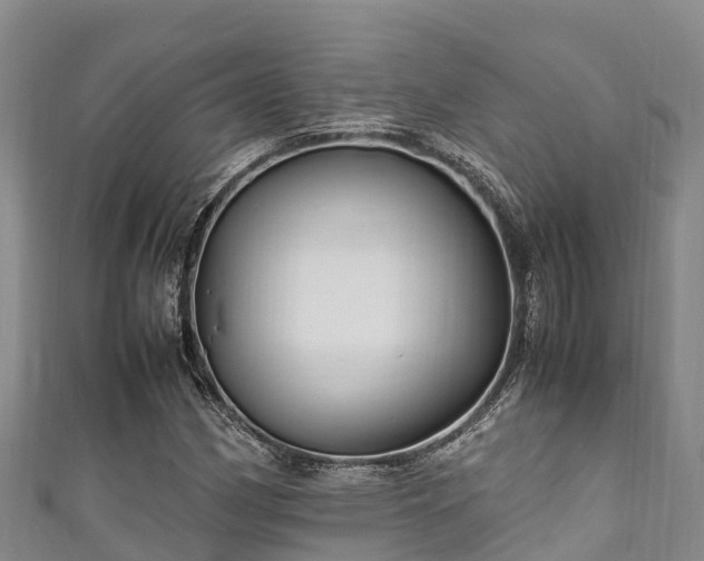 X0000111601162200907231230