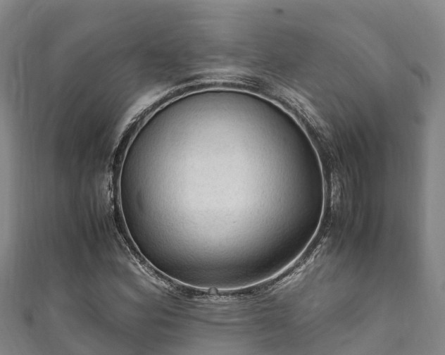 X0000111601164200907231230