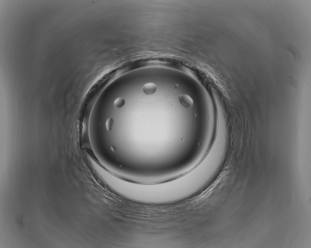 X0000111601165200907231230
