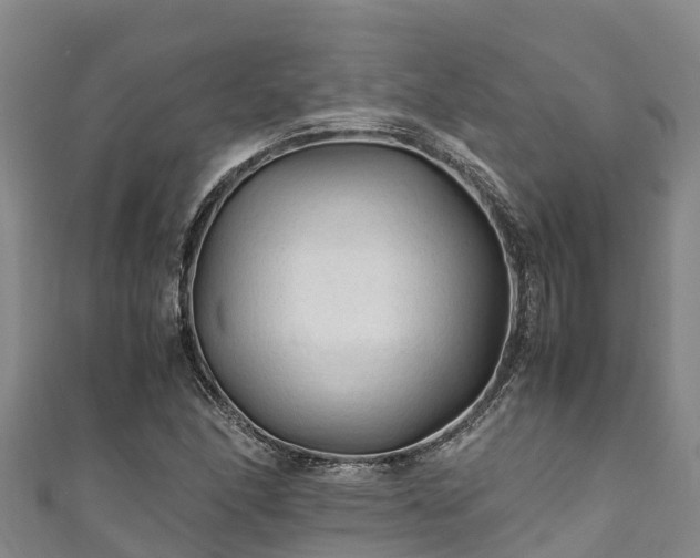 X0000111601166200907231230
