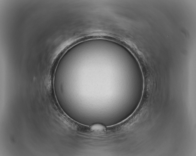 X0000111601167200907231229