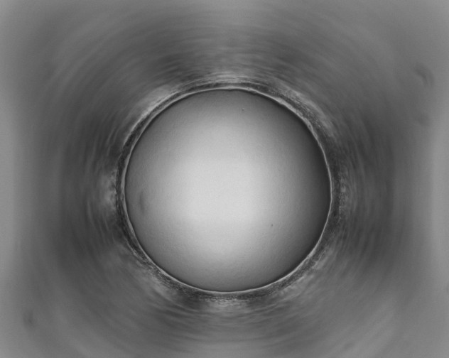 X0000111601170200907231229