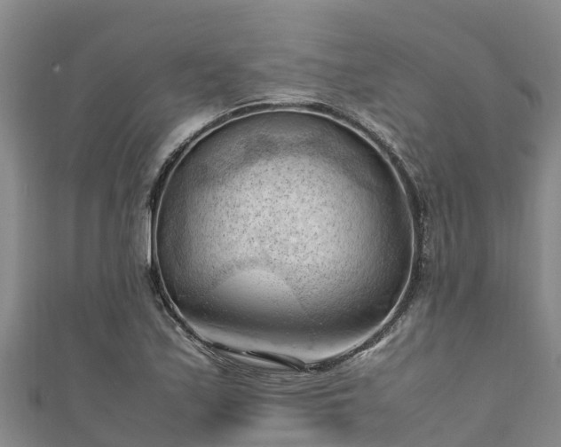 X0000111601171200907231229
