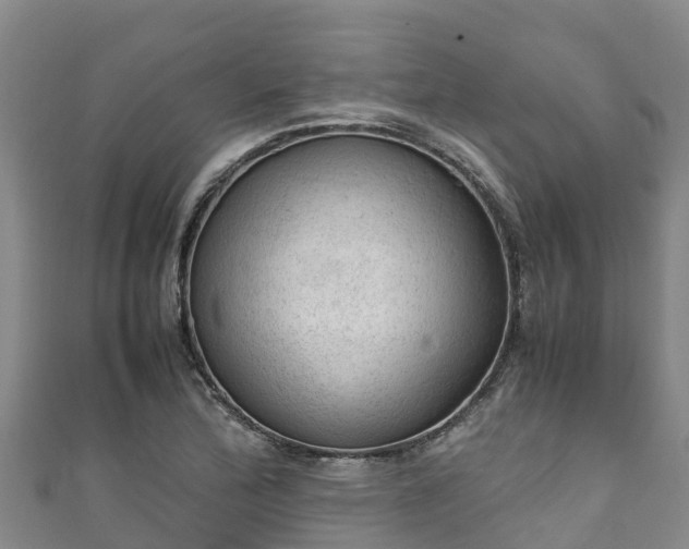X0000111601172200907231229
