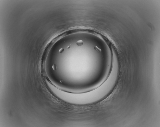 X0000111601173200907231229