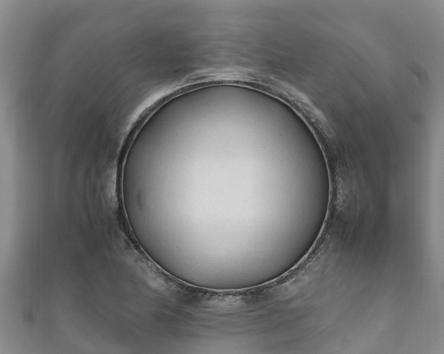 X0000111601174200907231229