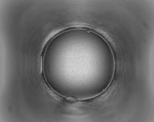 X0000111601175200907231229