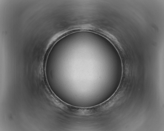 X0000111601176200907231229
