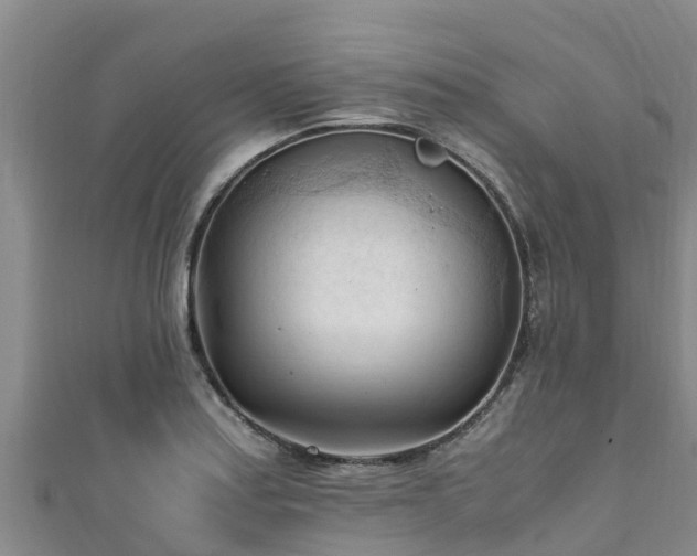 X0000111601179200907231229