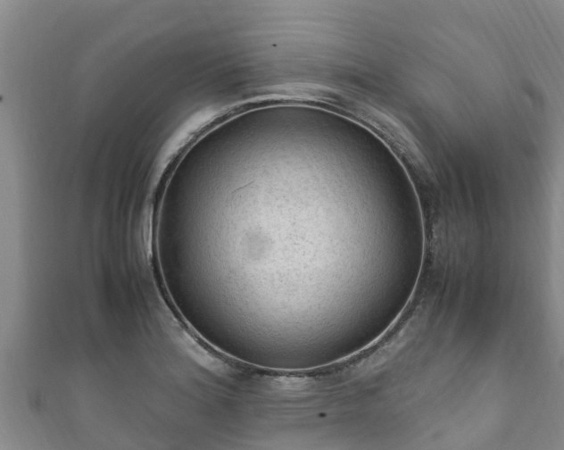 X0000111601180200907231229