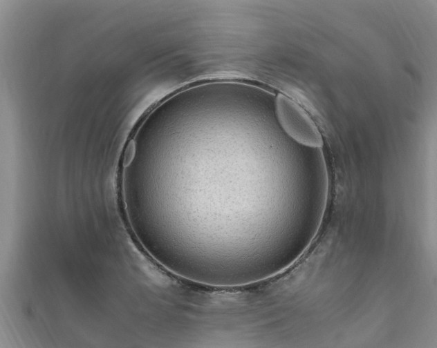 X0000111601181200907231229