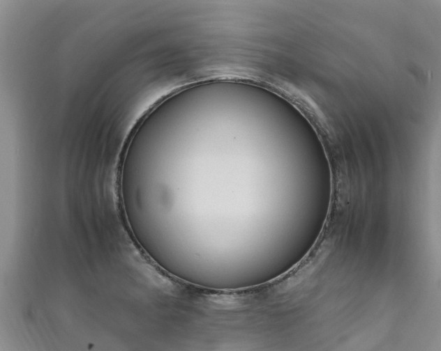 X0000111601182200907231229