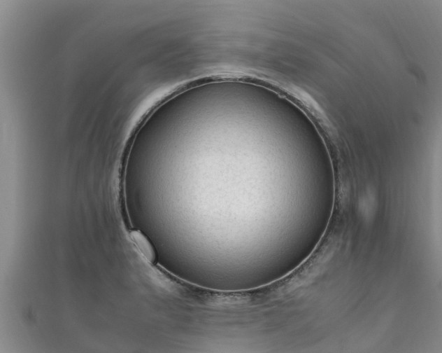 X0000111601183200907231229
