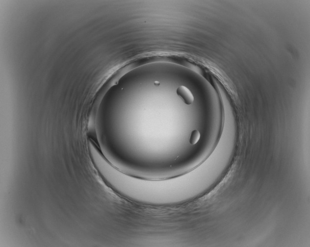 X0000111601185200907231229