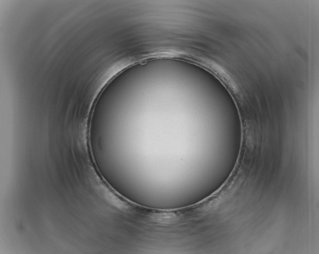 X0000111601186200907231229