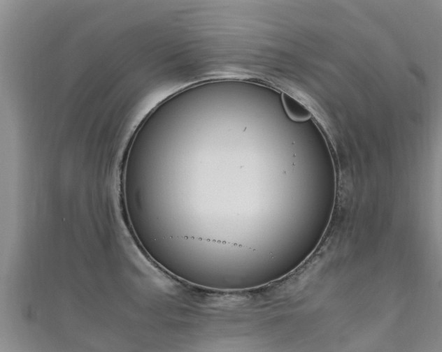 X0000111601187200907231229