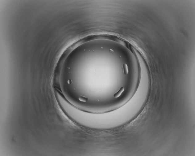 X0000111601189200907231229