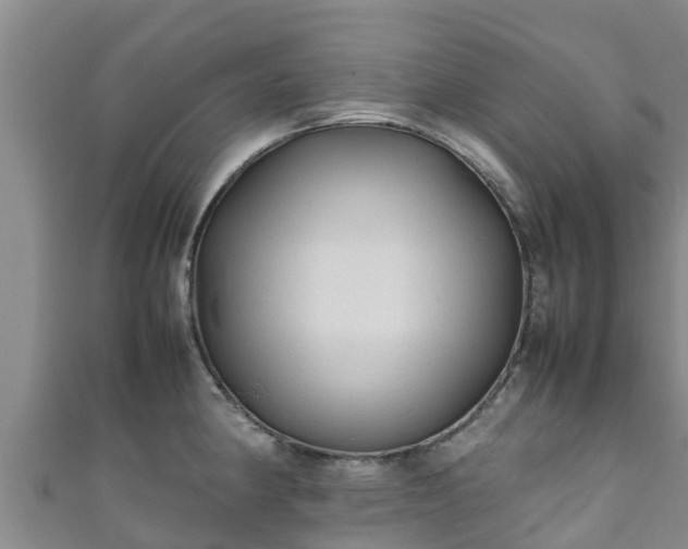 X0000111601190200907231229