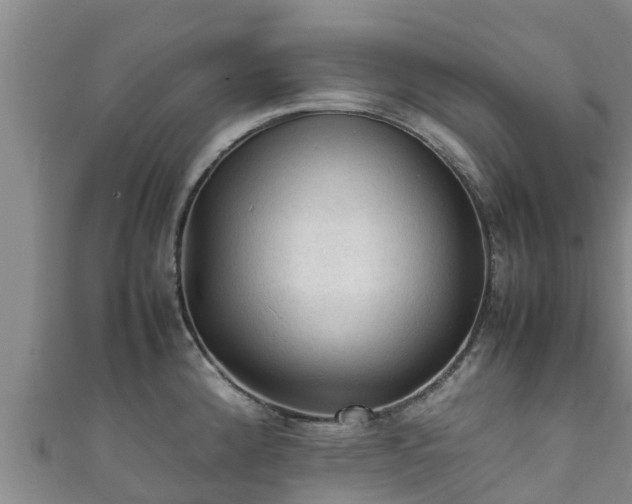 X0000111601192200907231229