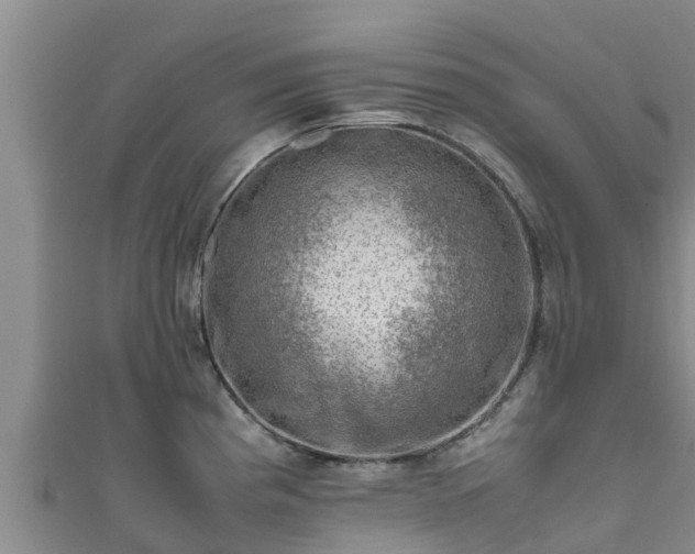 X0000111601193200907231229