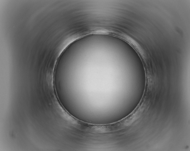 X0000111601194200907231229