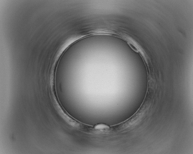 X0000111601195200907231229