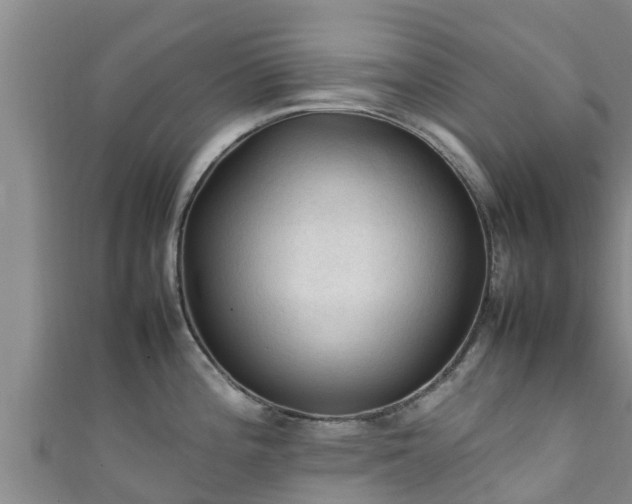 X0000111601196200907231229