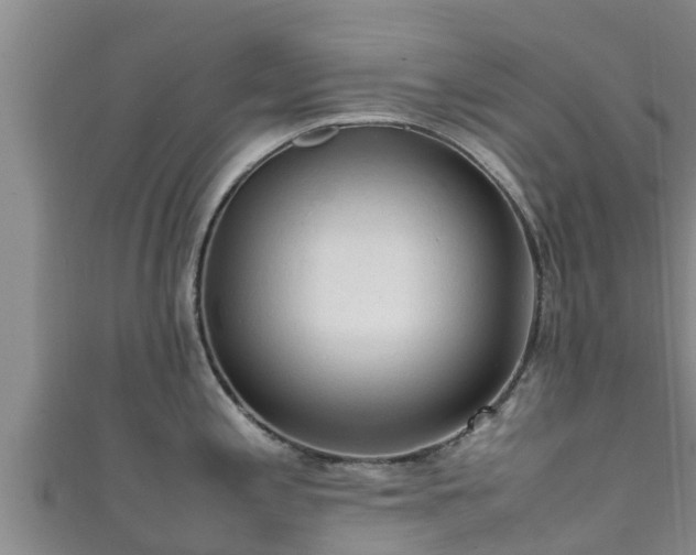 X0000111601197200907231229