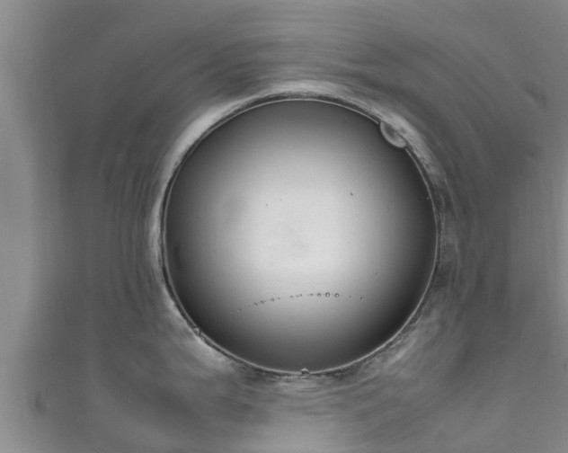X0000111601199200907231229