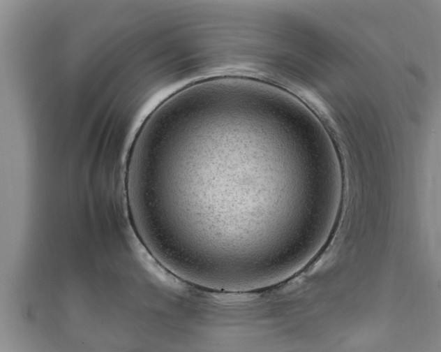 X0000111601200200907231229