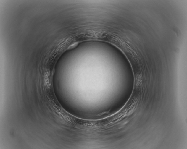 X0000111601202200907231228